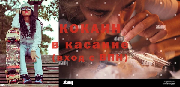ПСИЛОЦИБИНОВЫЕ ГРИБЫ Балахна